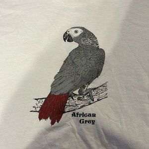 T-shirt with an African gray parrot on the front